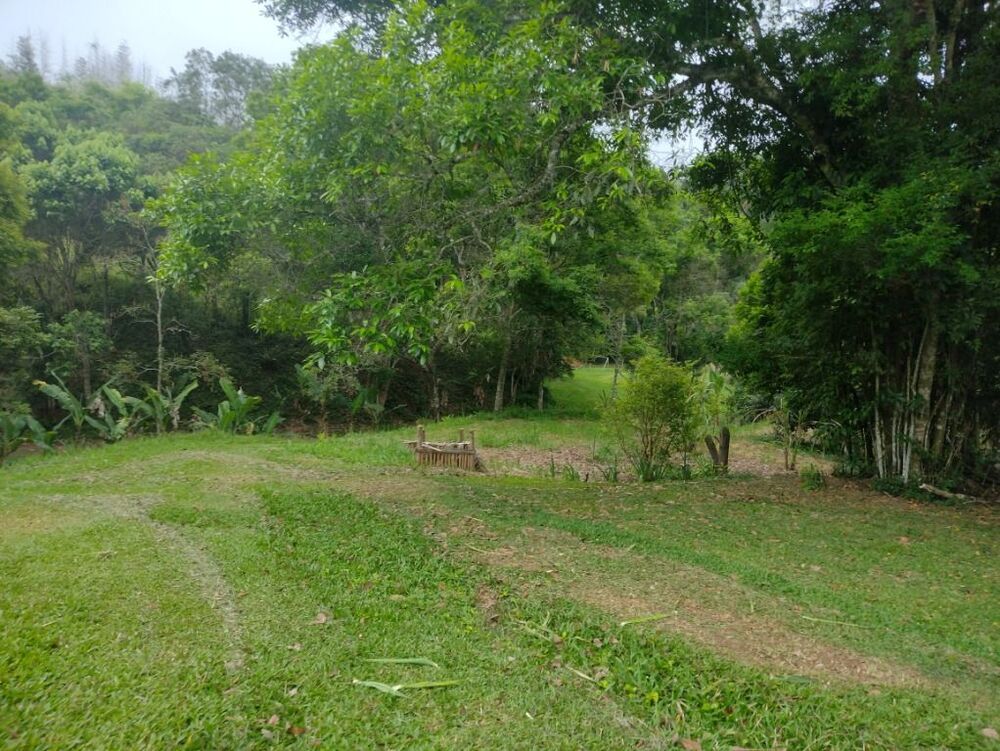 Terreno, 10 hectares - Foto 7