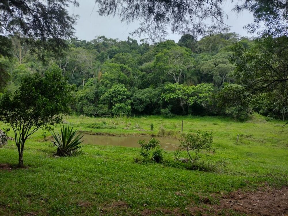 Terreno, 10 hectares - Foto 14