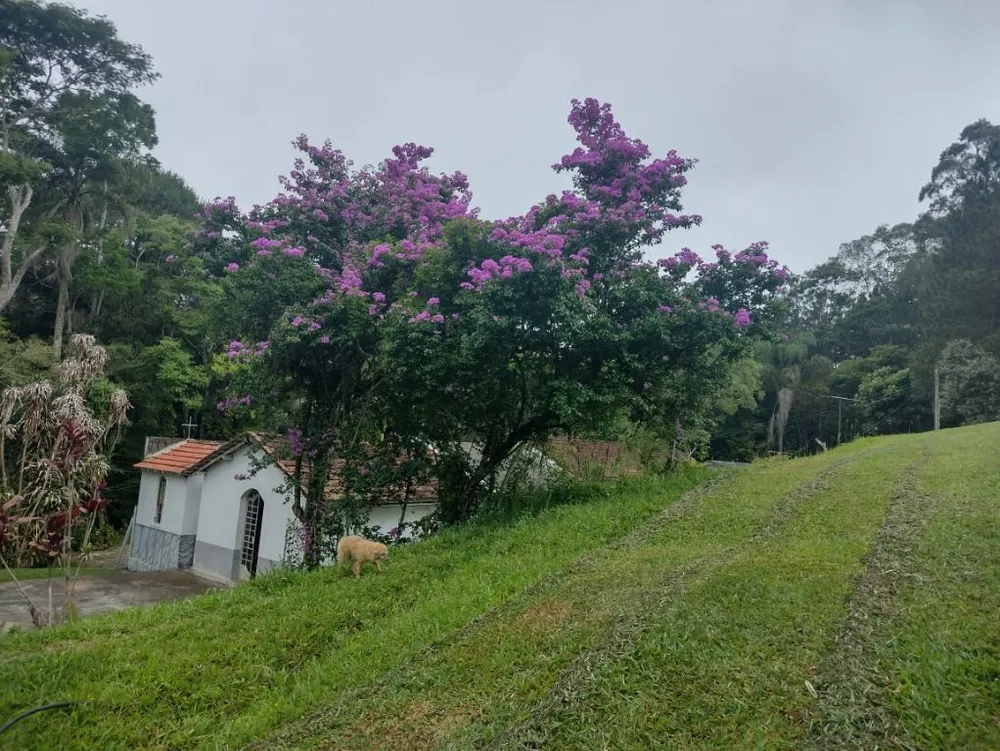 Terreno, 10 hectares - Foto 21