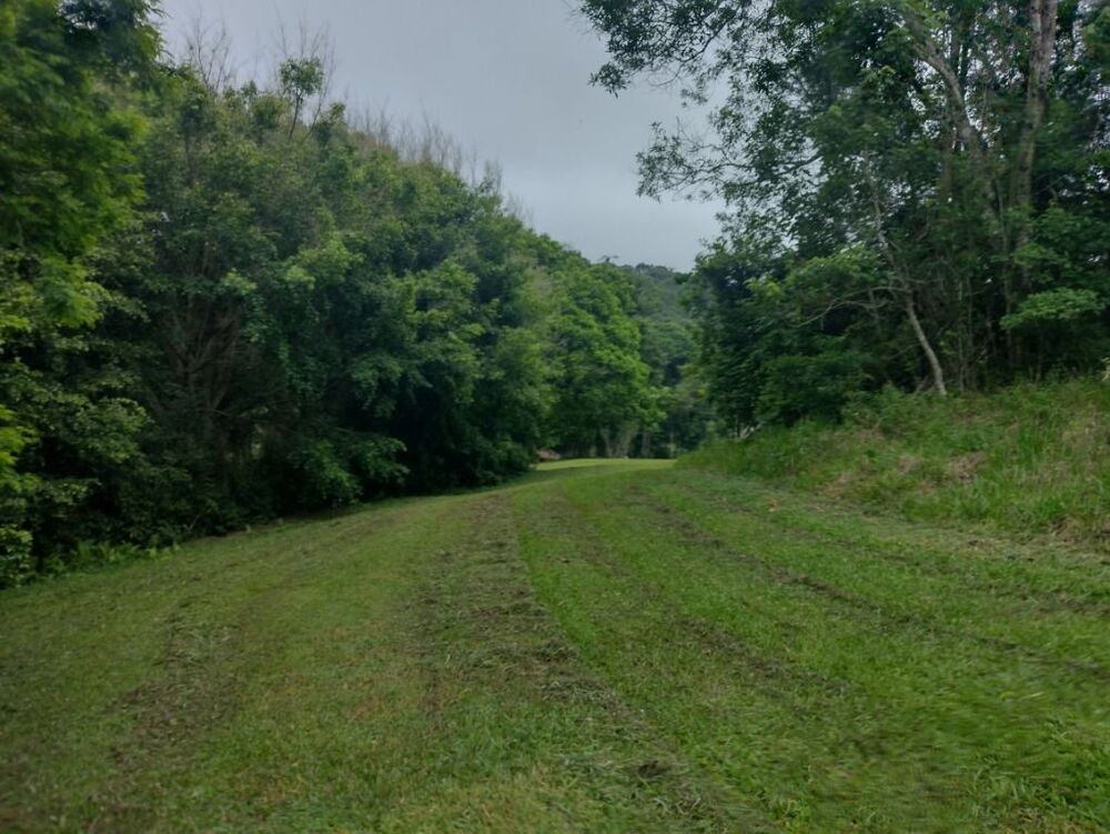 Terreno, 10 hectares - Foto 21