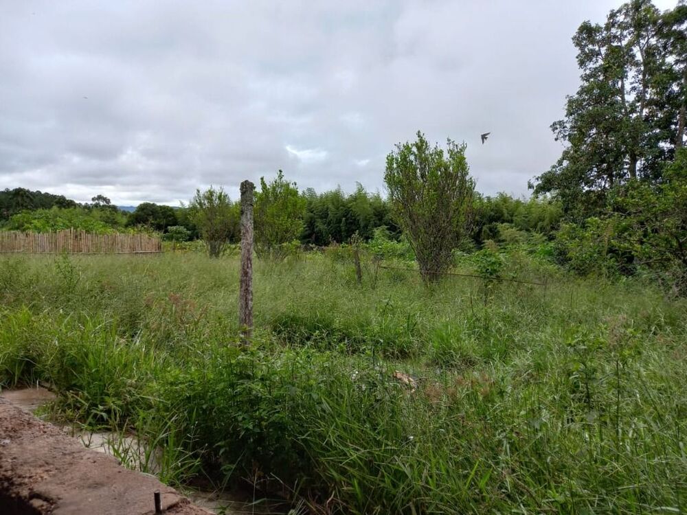Terreno, 1 hectares - Foto 10