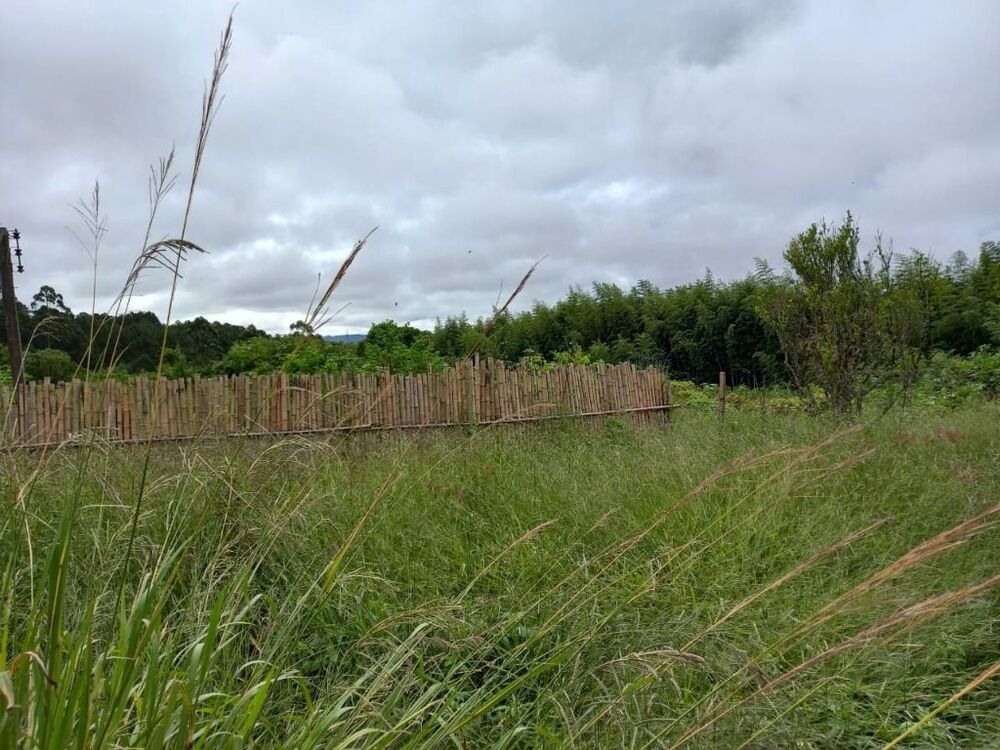 Terreno, 1 hectares - Foto 21