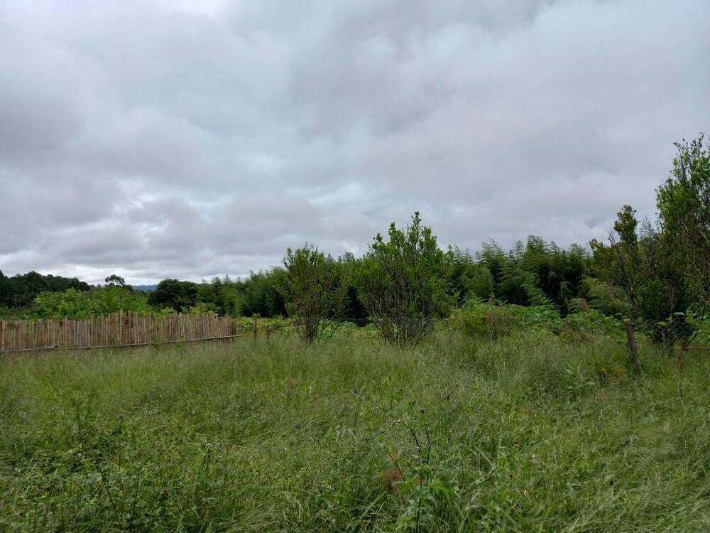 Terreno, 1 hectares - Foto 2
