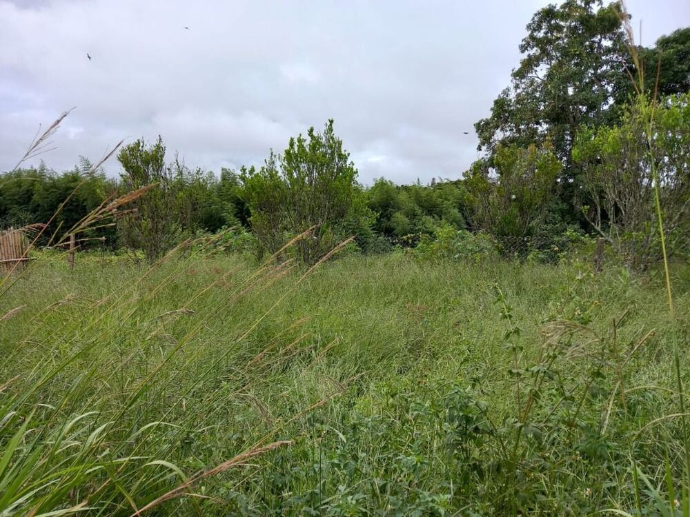 Terreno, 1 hectares - Foto 20