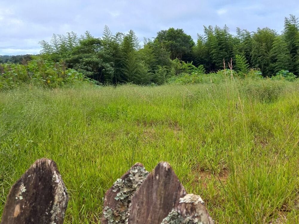 Terreno, 1 hectares - Foto 1