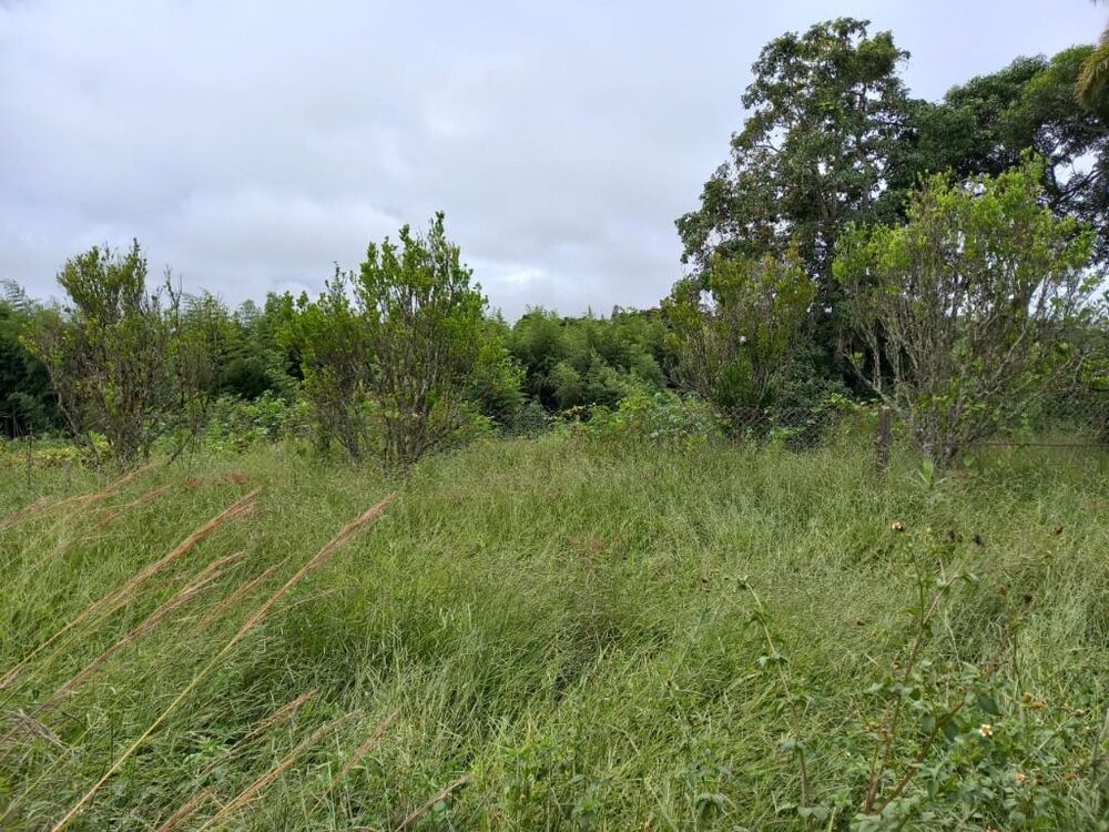 Terreno, 1 hectares - Foto 6