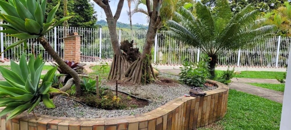 Chácara, 4 quartos, 3762 m² - Foto 3