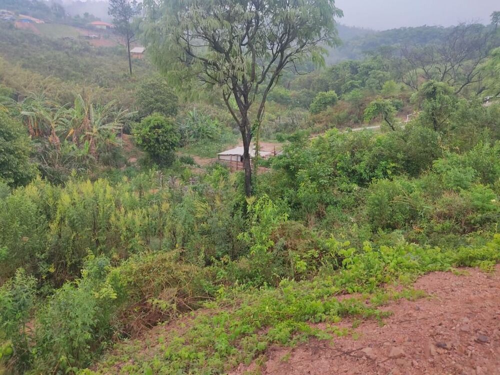 Terreno, 1167 m² - Foto 4