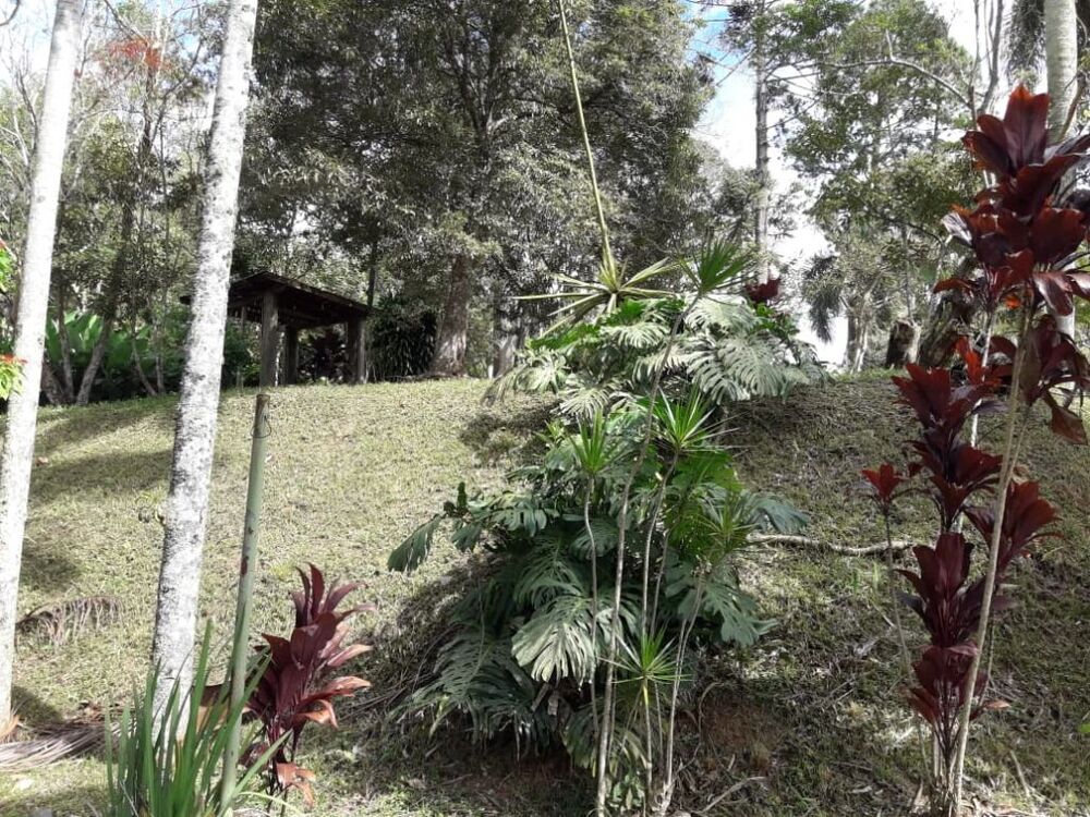 Terreno, 2 hectares - Foto 22