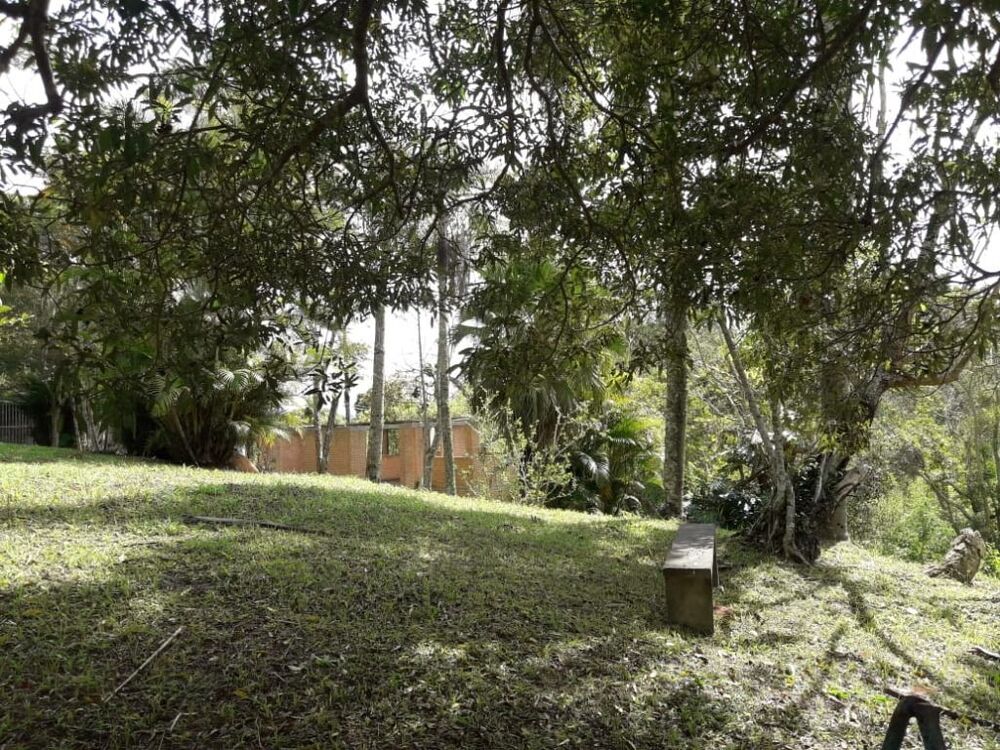 Terreno, 2 hectares - Foto 2