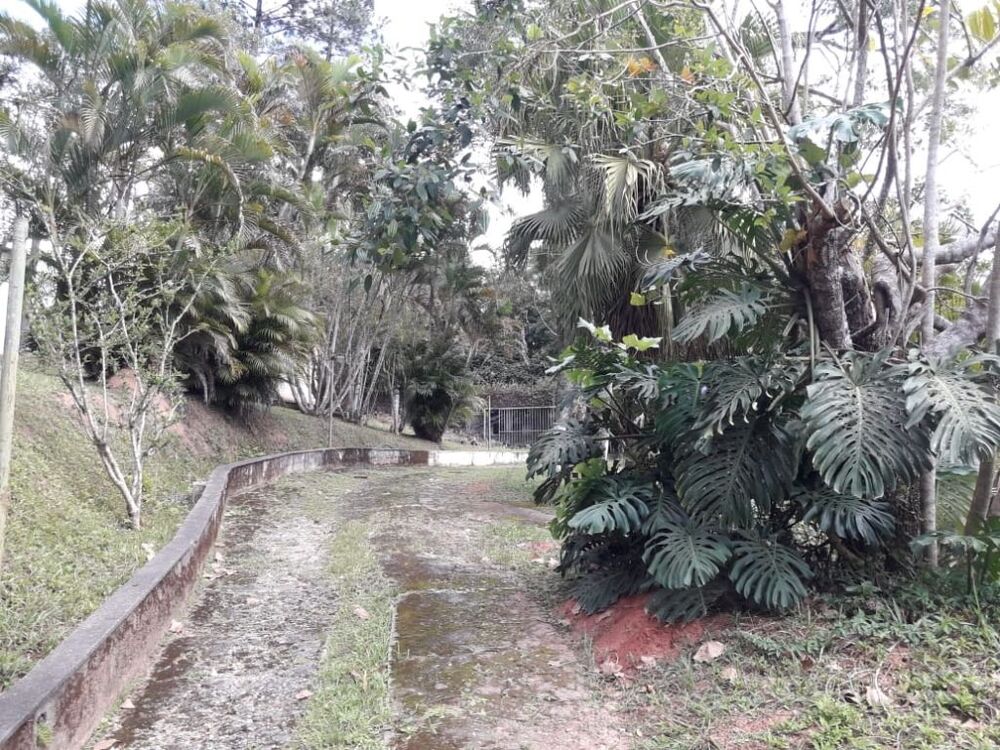 Terreno, 2 hectares - Foto 31