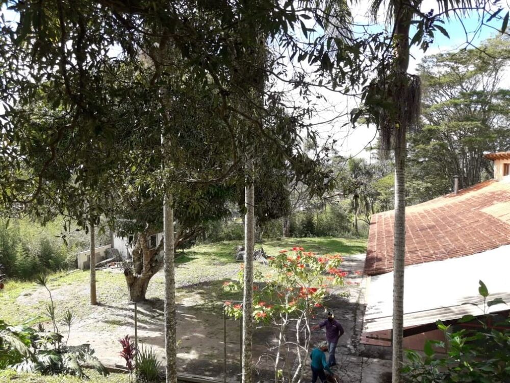 Terreno, 2 hectares - Foto 6