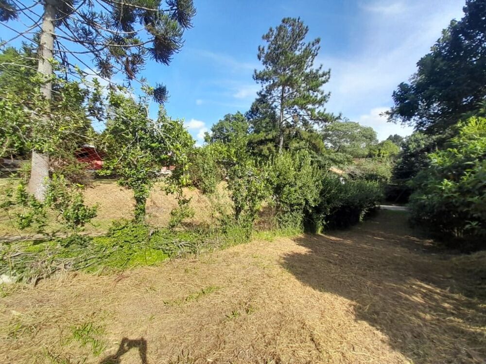 Loteamento e Condomínio, 2520 m² - Foto 5