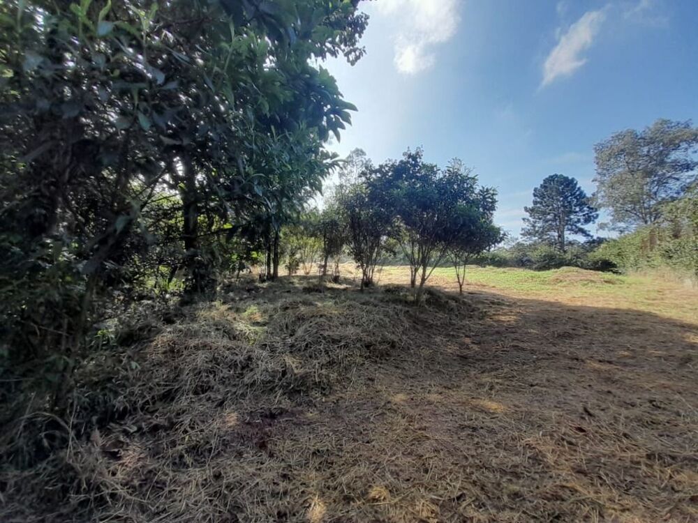 Loteamento e Condomínio, 2520 m² - Foto 7