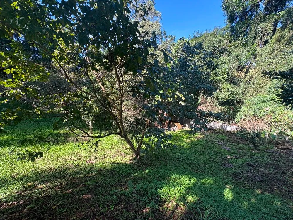 Chácara, 3 quartos, 1807 m² - Foto 7