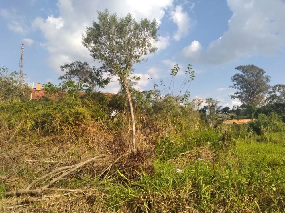 Terreno, 2205 m² - Foto 6