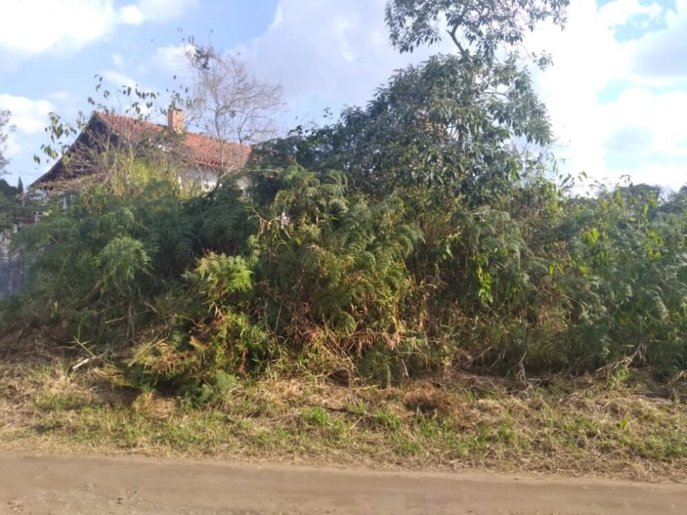 Terreno, 2205 m² - Foto 7