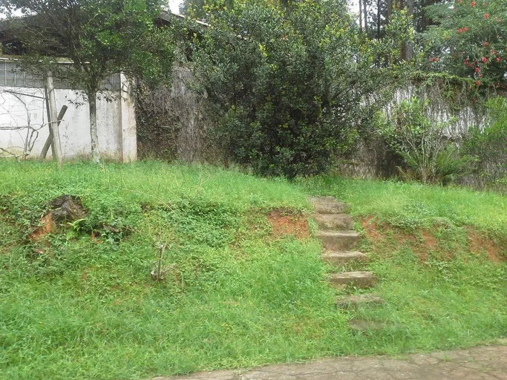 Casa, 4 quartos, 460 m² - Foto 11