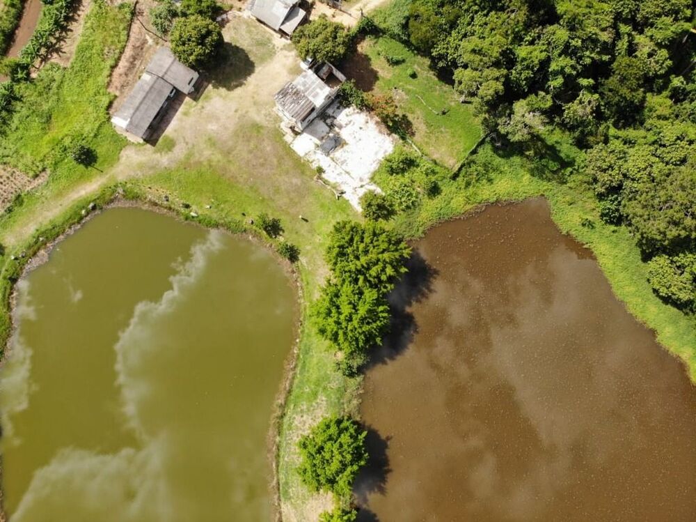 Terreno, 11 hectares - Foto 4