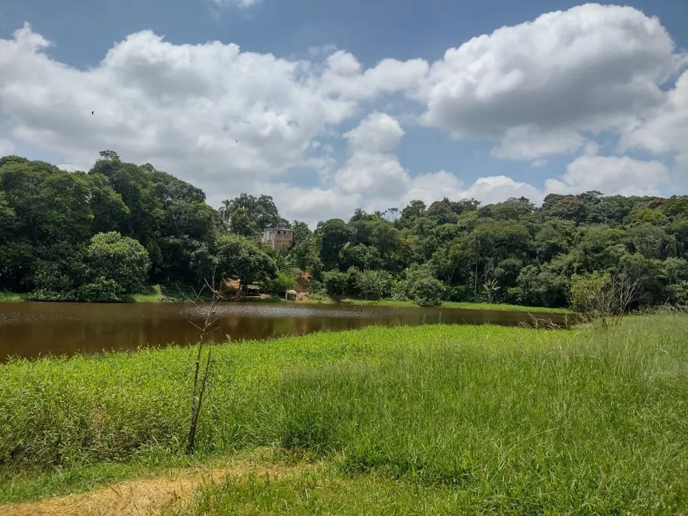 Terreno, 11 hectares - Foto 10