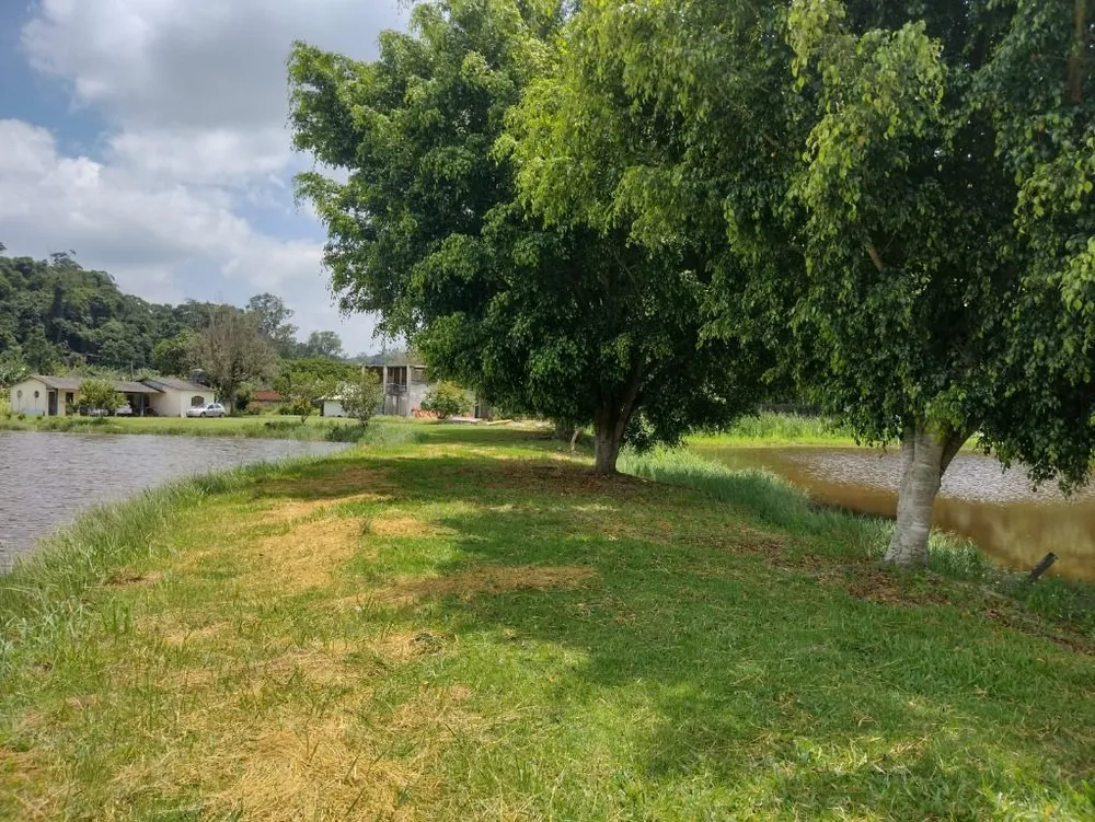 Terreno, 11 hectares - Foto 8