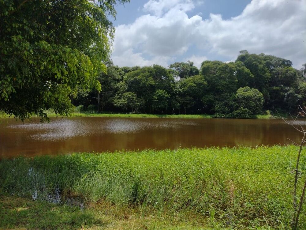 Terreno, 11 hectares - Foto 3