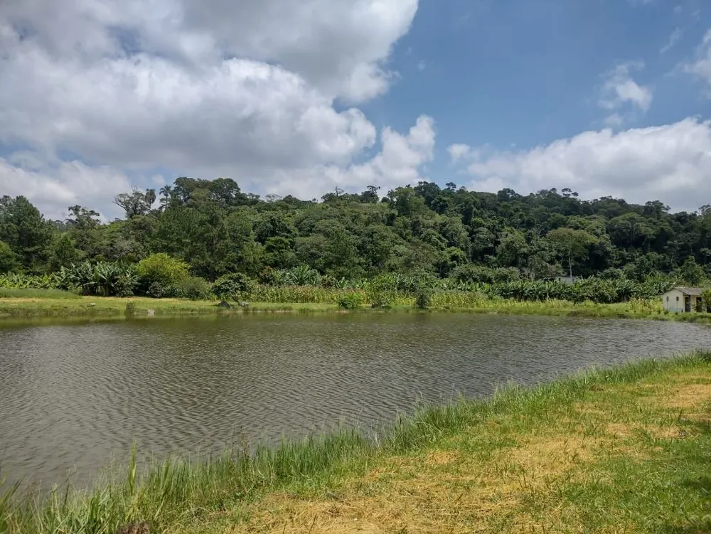 Terreno, 11 hectares - Foto 12