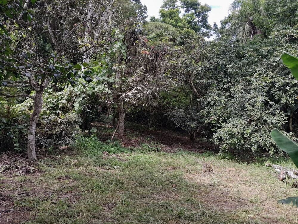 Terreno, 5546 m² - Foto 11