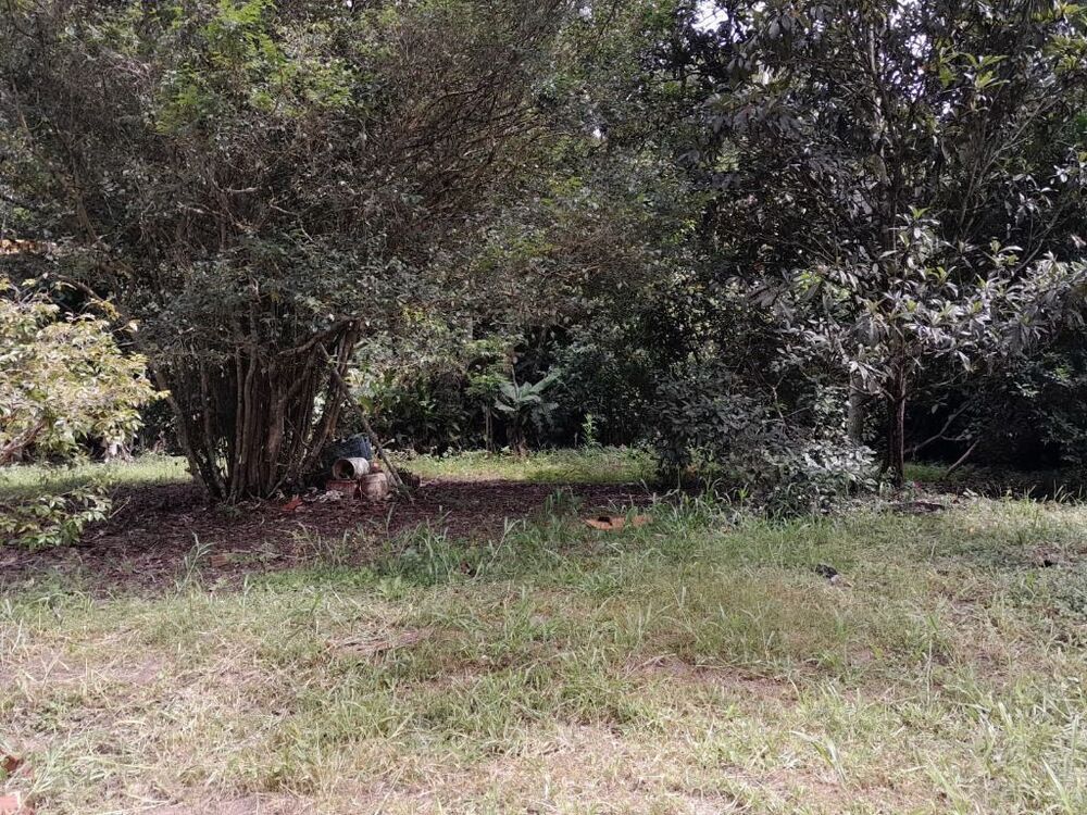 Terreno, 5546 m² - Foto 10