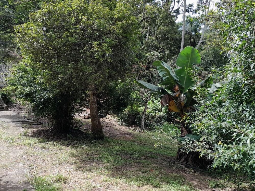 Terreno, 5546 m² - Foto 8