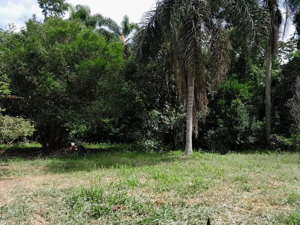 Terreno, 5546 m² - Foto 13