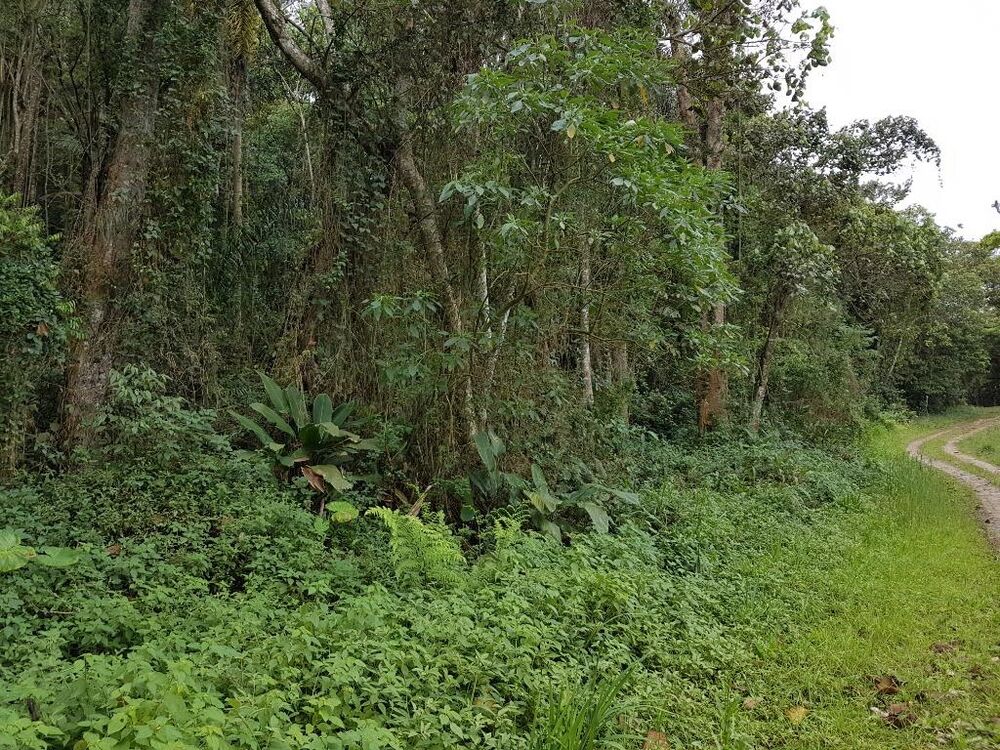 Loteamento e Condomínio à venda, 1943m² - Foto 12