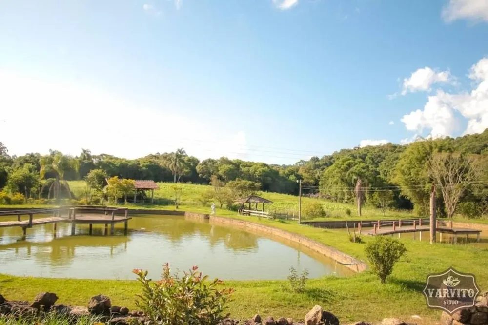 Chácara, 6 quartos, 5 hectares - Foto 7
