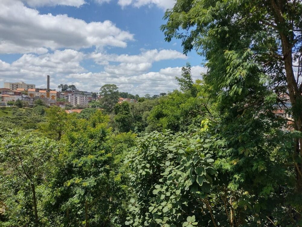 Apartamento à venda com 2 quartos, 55m² - Foto 28