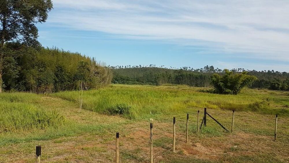 Terreno, 4 hectares - Foto 15