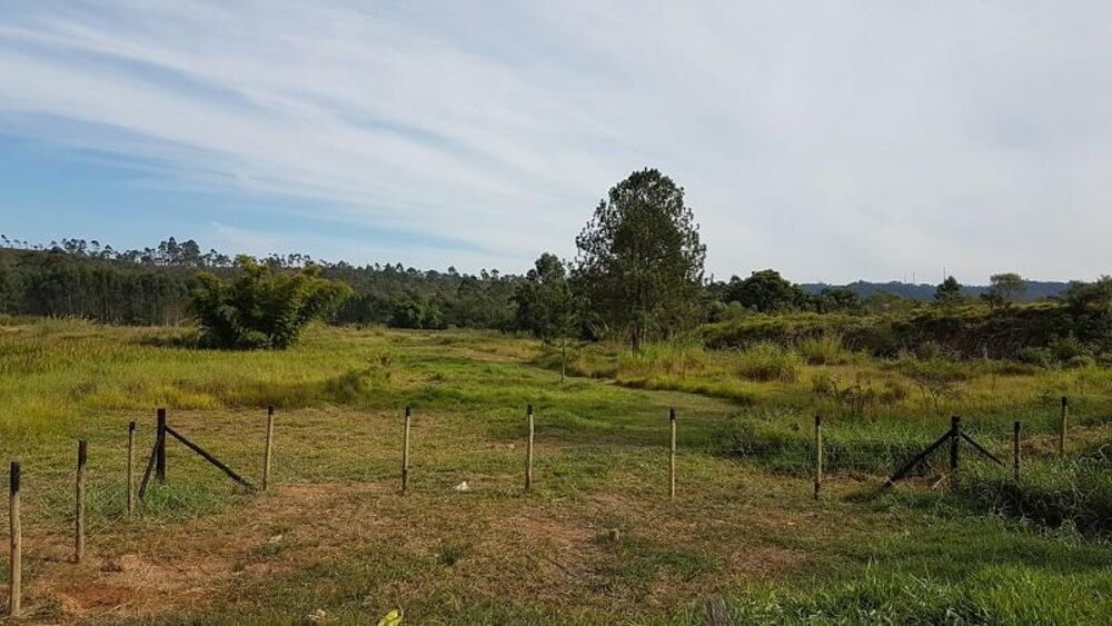 Terreno, 4 hectares - Foto 19