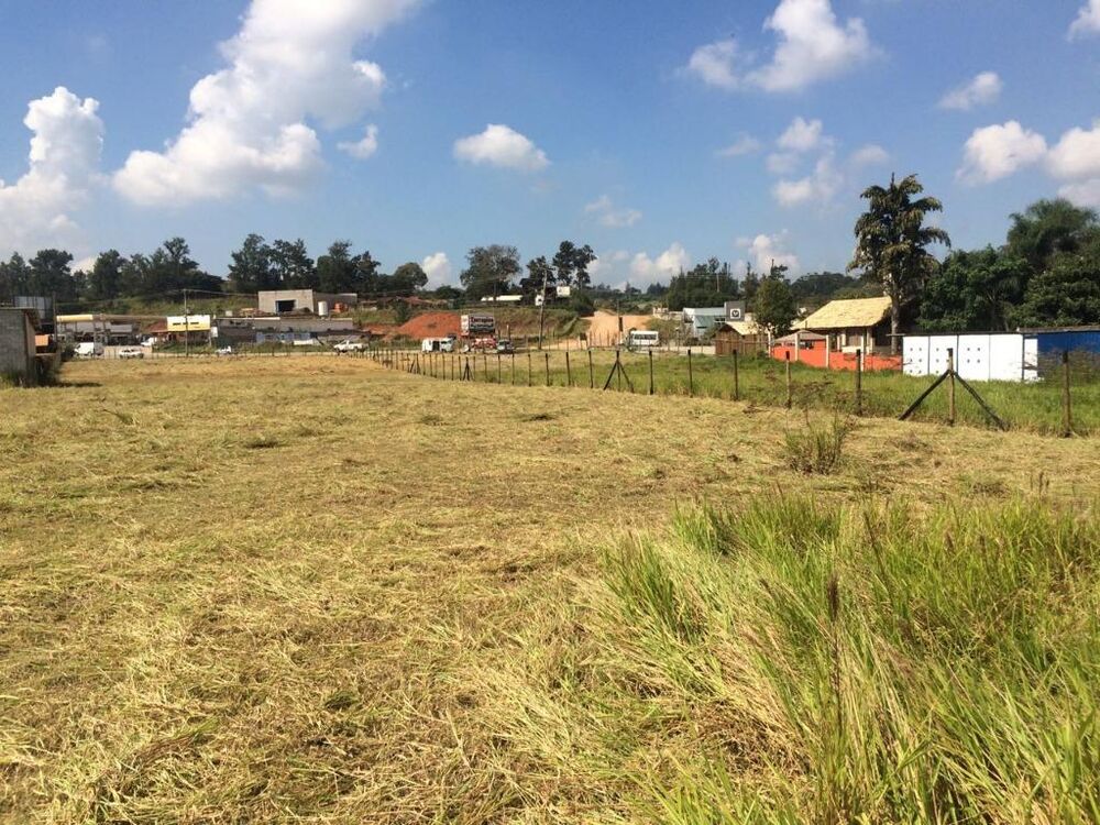 Terreno, 4 hectares - Foto 3
