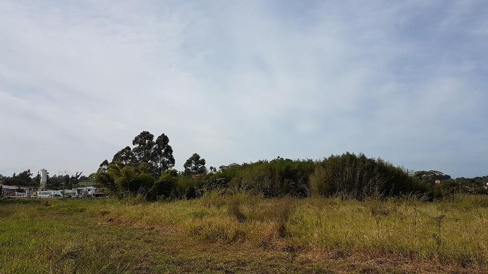 Terreno, 4 hectares - Foto 9