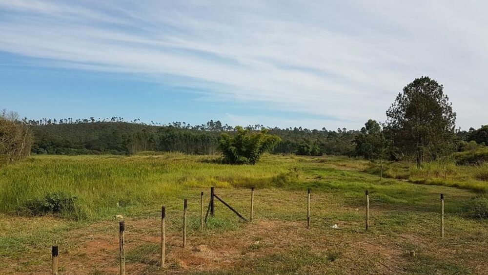 Terreno, 4 hectares - Foto 11