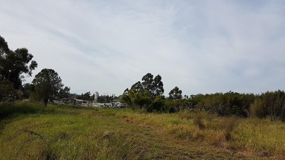 Terreno, 4 hectares - Foto 13