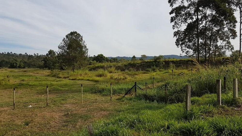 Terreno, 4 hectares - Foto 6