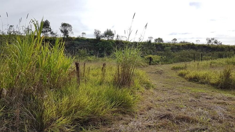 Terreno, 4 hectares - Foto 25