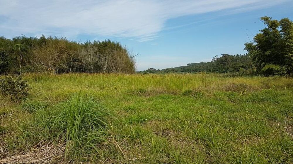 Terreno, 4 hectares - Foto 28