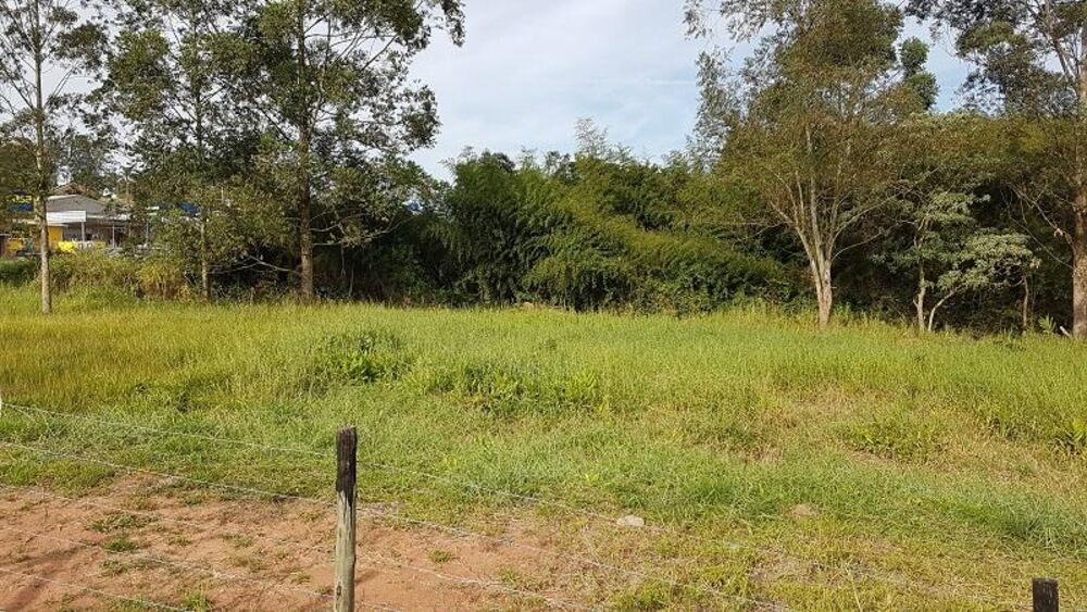 Terreno, 4 hectares - Foto 27