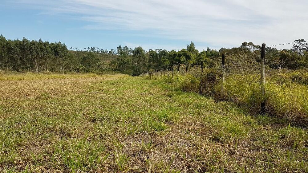 Terreno, 4 hectares - Foto 7