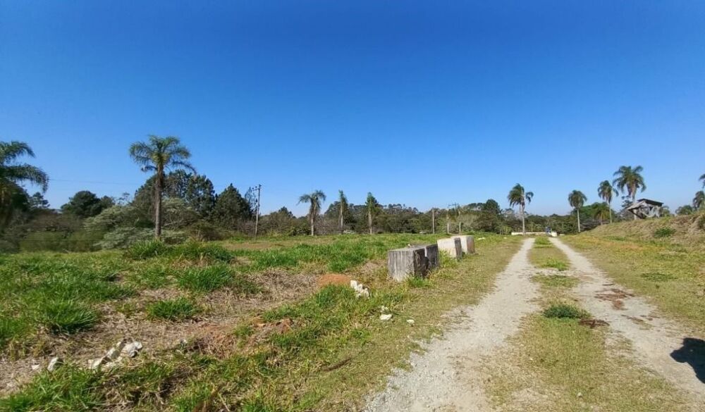 Terreno, 4500 m² - Foto 4