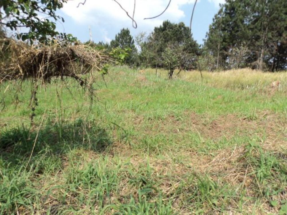 Terreno, 1 hectares - Foto 3