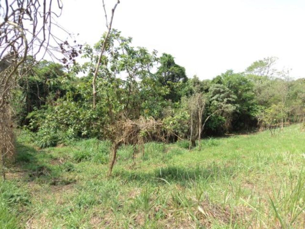 Terreno, 1 hectares - Foto 7