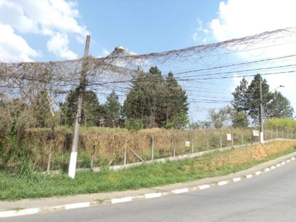 Terreno, 1 hectares - Foto 8