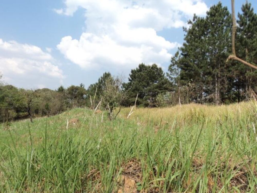 Terreno, 1 hectares - Foto 4